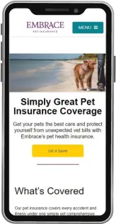 Cleveland Web Design Projects