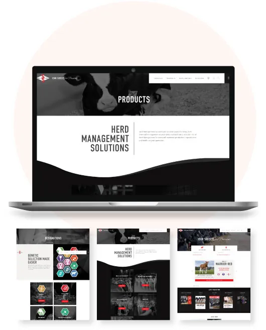local Cleveland web designers showing the website market